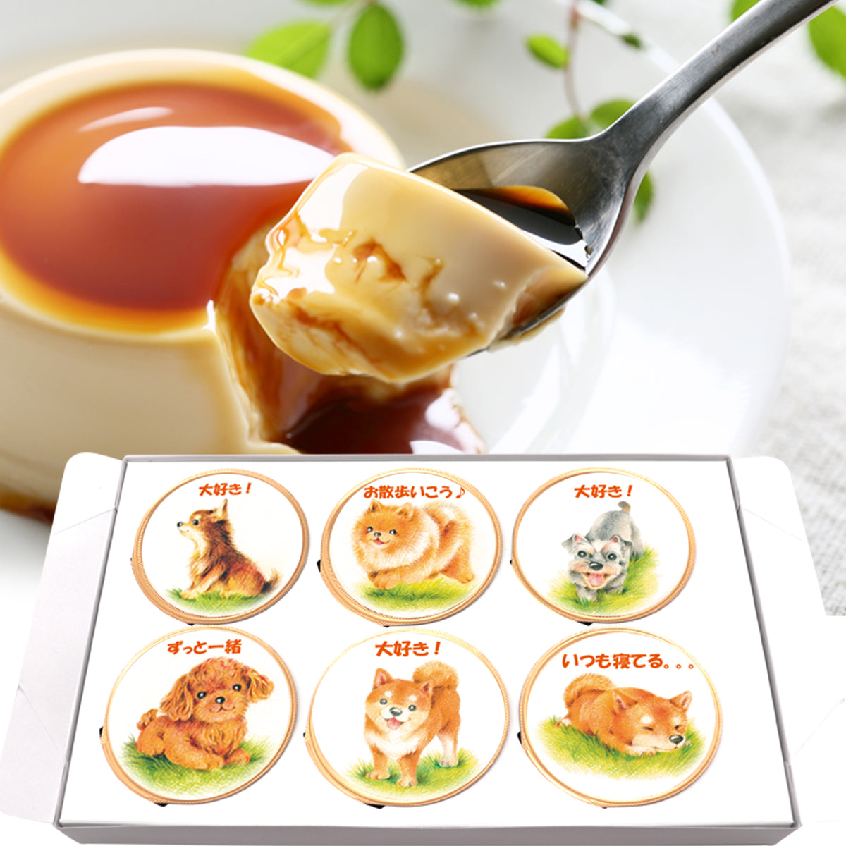 dog6set-s_1200x1200.jpg?v=