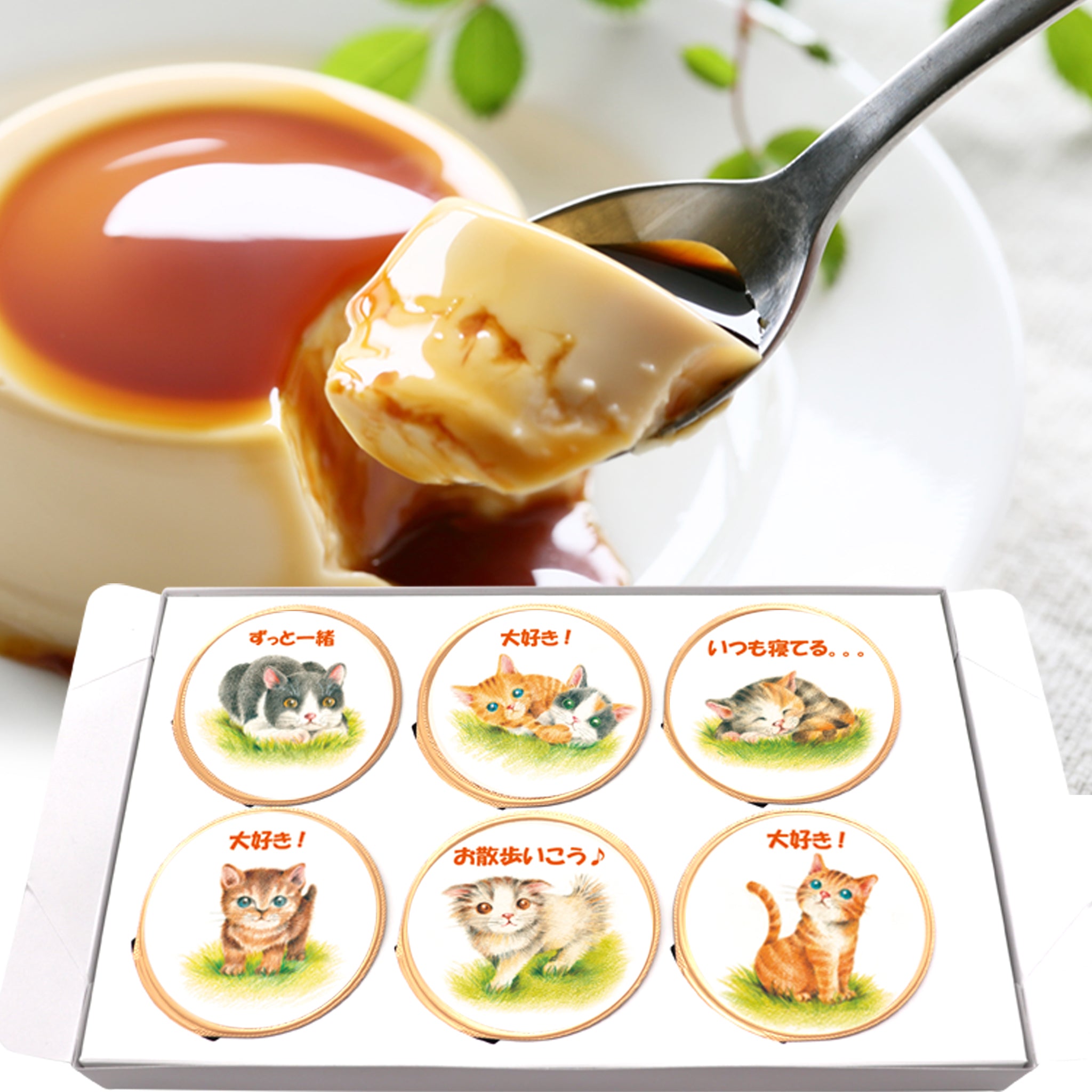 cat6set-s_2048x.jpg?v=1714111737